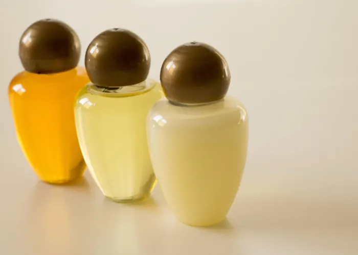 Dafne Panzió Treviso